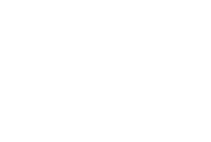 FAIRNESS GROUP logo W